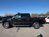 New 2025 Ford F150 XLT w/ Equipment Group 303A High image 4