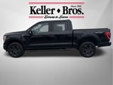 Used 2023 Ford F150 XLT w/ Equipment Group 302A High image 4