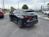 Used 2025 Lexus NX 250 FWD w/ Premium Package image 3