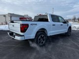 New 2025 Ford F150 STX w/ Equipment Group 200A image 3