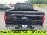 New 2025 Ford F150 XLT w/ Equipment Group 302A MID image 6