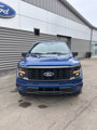 New 2025 Ford F150 STX w/ Equipment Group 200A image 2