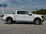New 2025 Ford F150 XLT w/ Equipment Group 302A MID image 2