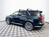 New 2025 Hyundai Palisade Calligraphy image 6