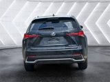 Used 2020 Lexus NX 300h AWD w/ Comfort Package image 4