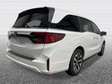 New 2026 Honda Odyssey EX-L image 5