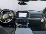 New 2025 Ford F150 XLT image 2