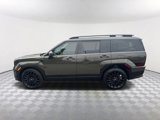 New 2025 Hyundai Santa Fe Calligraphy image 4
