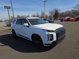 New 2025 Hyundai Palisade Calligraphy image 4