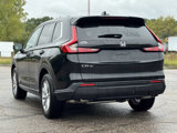 Used 2025 Honda CR-V EX-L image 3