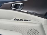 New 2025 Kia Carnival SX Prestige image 6