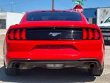 Used 2019 Ford Mustang Coupe image 6