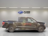 Certified 2022 Ford F150 XLT w/ Equipment Group 302A High image 3