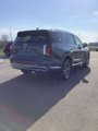 New 2025 Hyundai Palisade Calligraphy image 5