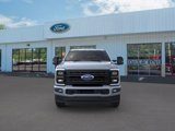New 2025 Ford F250 Platinum image 6