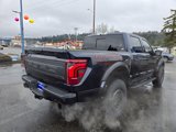 New 2025 Ford F150 Raptor image 5