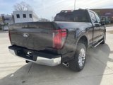 New 2025 Ford F150 XLT image 4