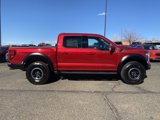 New 2025 Ford F150 Raptor image 6