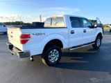 Used 2014 Ford F150 XLT w/ Equipment Group 302A Luxury image 4