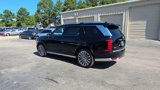 New 2026 Hyundai Palisade Calligraphy image 6