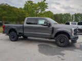 New 2025 Ford F250 Platinum image 2
