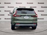 Certified 2026 Honda CR-V TrailSport image 4