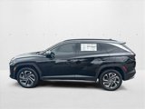 New 2025 Hyundai Tucson Limited image 5
