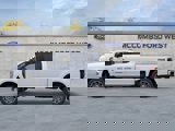 New 2026 Ford F250 Platinum image 5