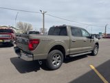 New 2025 Ford F150 XLT image 5