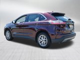 Used 2024 Ford Edge SEL image 5