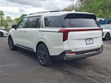 New 2025 Kia Carnival SX image 4
