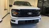 New 2025 Ford F150 XLT image 3