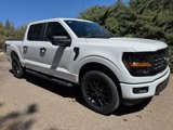 New 2025 Ford F150 STX image 3