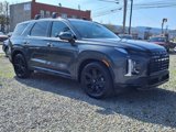 New 2025 Hyundai Palisade XRT image 3