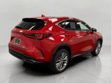Certified 2025 Lexus NX 350 AWD w/ Premium Package image 3