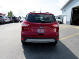 Used 2014 Ford Escape SE w/ Equipment Group 201A image 4