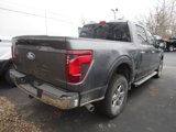 New 2025 Ford F150 XLT w/ Equipment Group 302A MID image 4