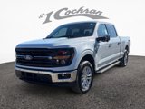 New 2025 Ford F150 XLT w/ Equipment Group 303A High image 3