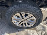 New 2025 Ford F150 XLT w/ Equipment Group 303A High image 4