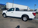 New 2025 Ford F150 XL w/ Equipment Group 103A High image 4