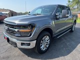 New 2025 Ford F150 XLT w/ Equipment Group 303A High image 2