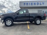 New 2025 Ford F150 XL w/ Equipment Group 103A High image 2