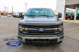 New 2025 Ford F150 XLT image 2
