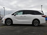 New 2025 Honda Odyssey Elite image 4