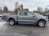 New 2025 Ford F150 XLT w/ Equipment Group 302A MID image 4