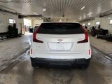Used 2024 Cadillac XT4 Luxury image 5