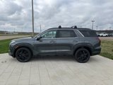 New 2025 Hyundai Palisade XRT image 4