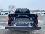 New 2025 Ford F150 XLT w/ Equipment Group 301A Standard image 5