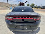 Used 2019 Dodge Charger SXT image 4