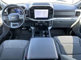 Certified 2023 Ford F150 XLT w/ Equipment Group 302A High image 2